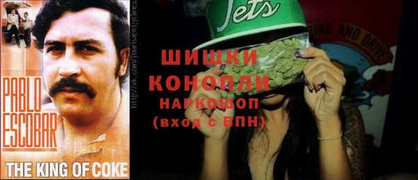 прущая мука Вяземский