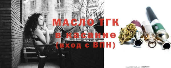 индика Вязьма
