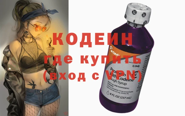 индика Вязьма