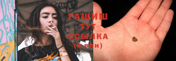 индика Вязьма