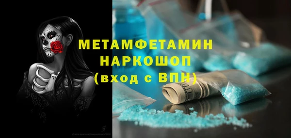 индика Вязьма