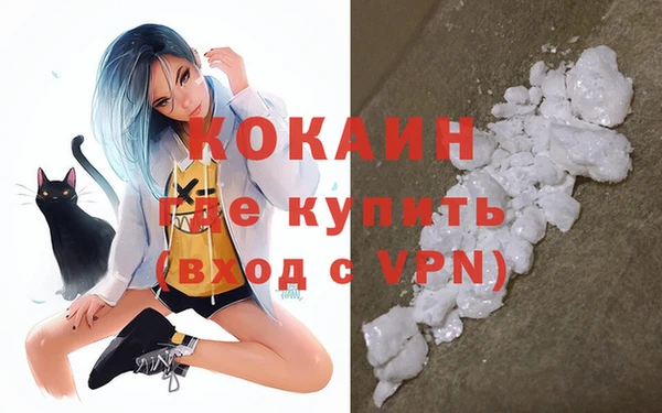 прущая мука Вяземский