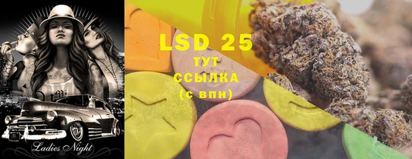 индика Вязьма