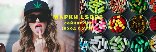 индика Вязьма