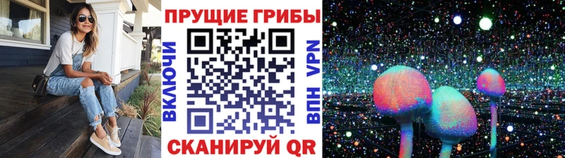 MEGA зеркало Похвистнево Галлюциногенные грибы MAGIC MUSHROOMS